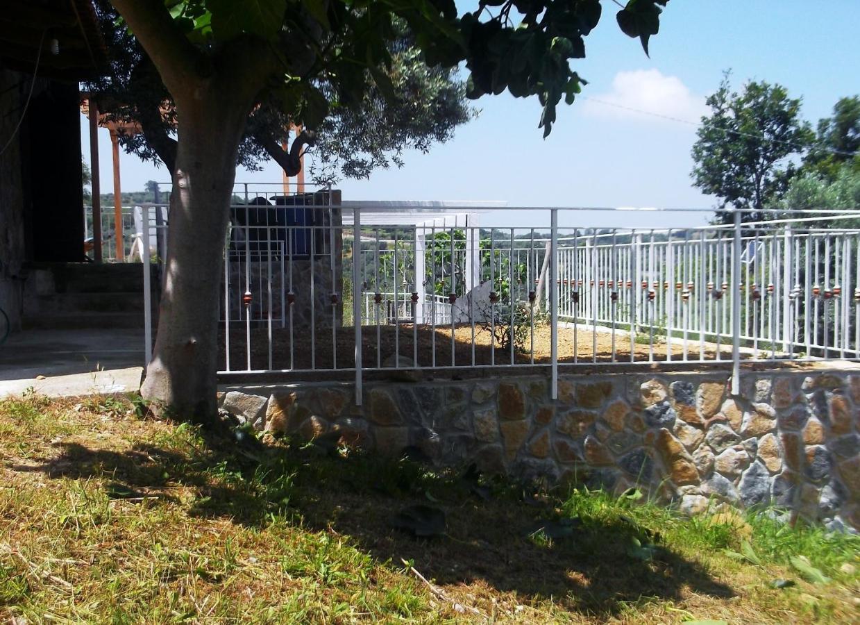 Villa De Felice Albanella Kültér fotó