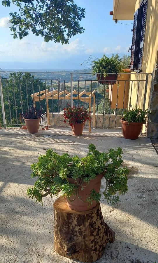 Villa De Felice Albanella Kültér fotó